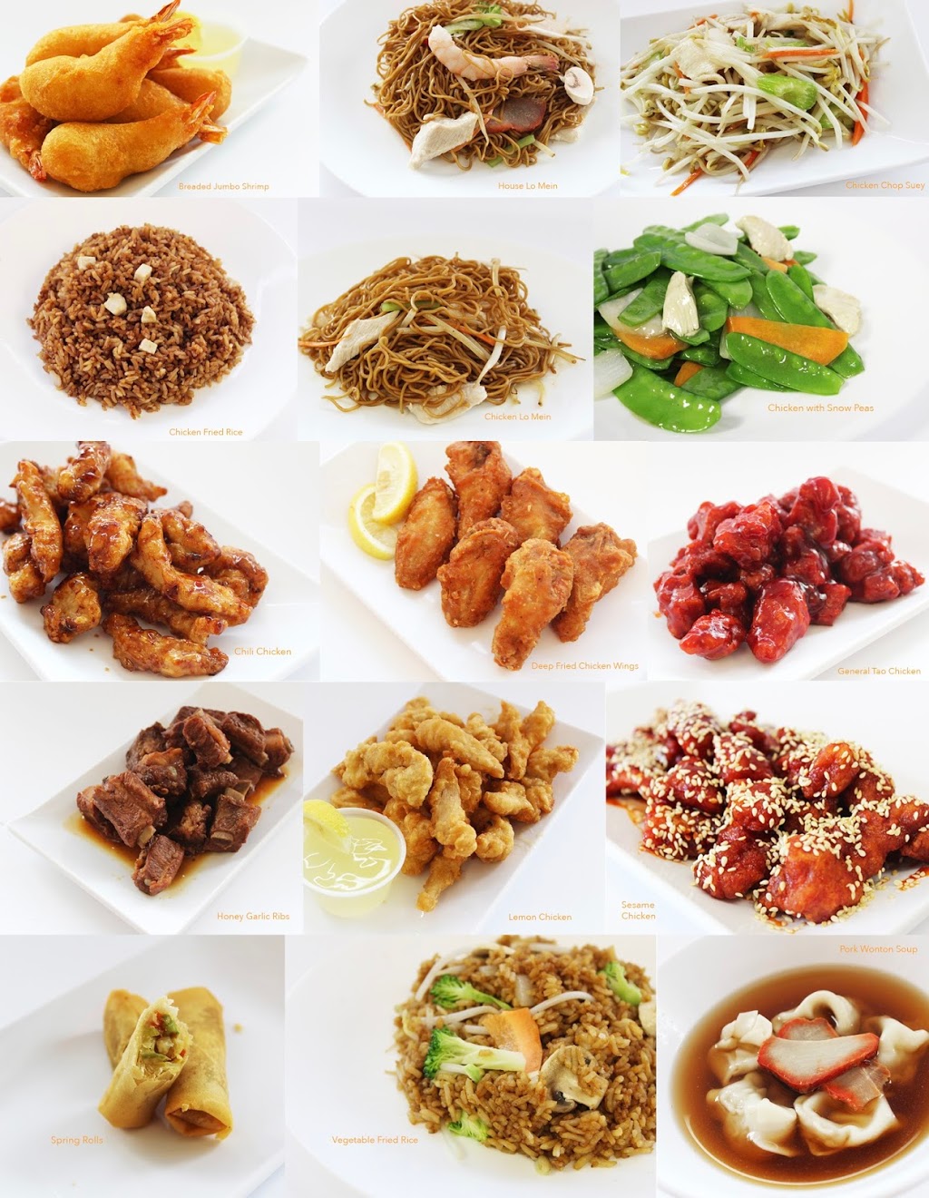 Sizzling Wok | 110 Little Ave #9, Barrie, ON L4N 4K8, Canada | Phone: (705) 727-9998