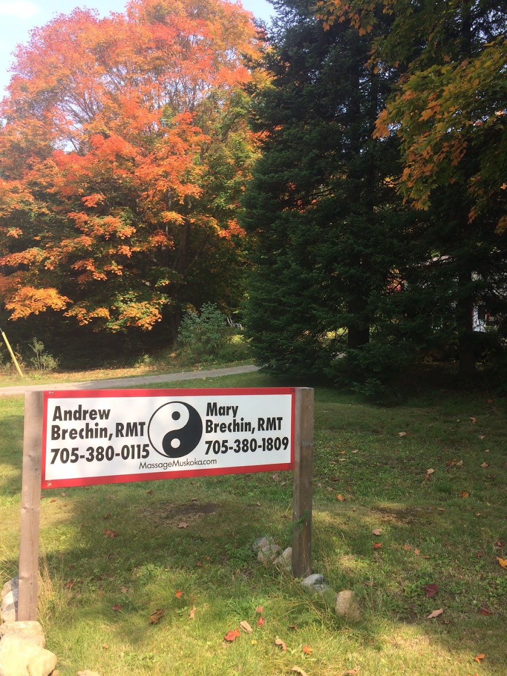Healing Woods | 376 Ferguson Rd, Burks Falls, ON P0A 1C0, Canada | Phone: (705) 380-0115
