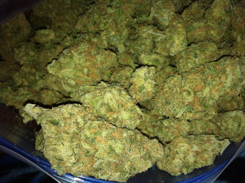 Recreational Cannabis farmers market | 5852 Old Highway 2, Shannonville, ON K0K 3A0, Canada | Phone: (613) 391-2071