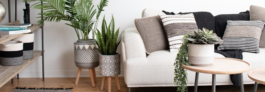 Fauxrest Artificial Plants | 1807 2 St Unit 3A, Nisku, AB T9E 0W8, Canada | Phone: (800) 632-8201