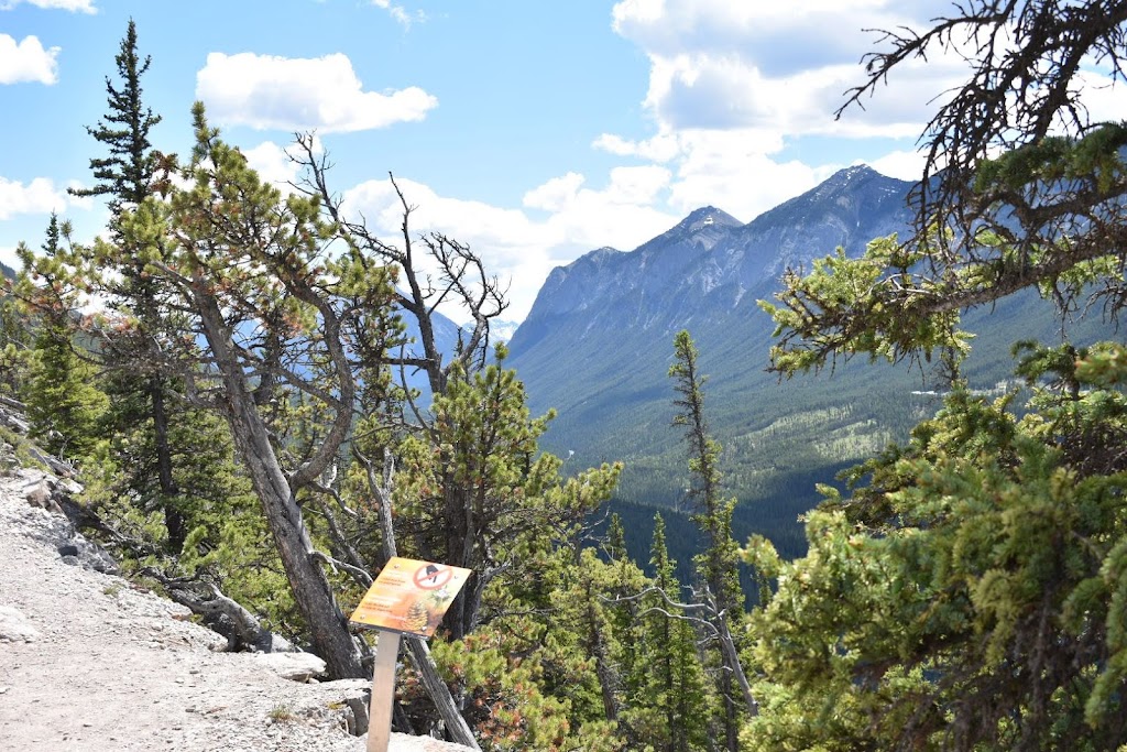 Tunnel Mountain Trail | Improvement District No. 9, AB T0L, Canada | Phone: (403) 762-1200
