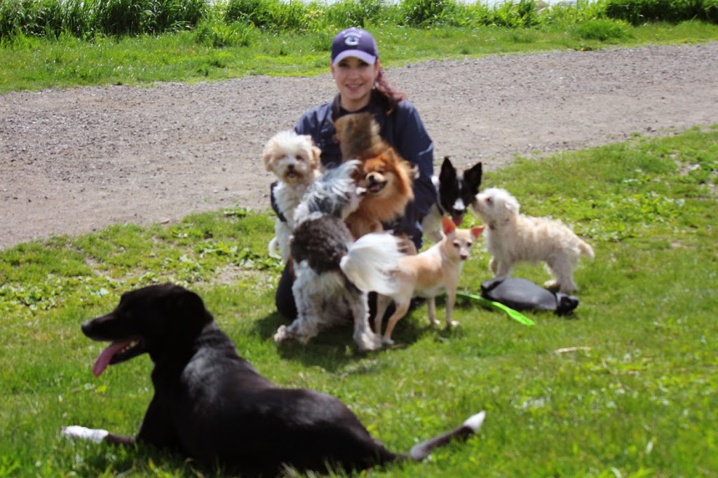 "The Woofer Walkers" GPS Tracked Dog Walking | Francis rd, No 2 Rd, Richmond, BC V7C 1K5, Canada | Phone: (778) 838-9255
