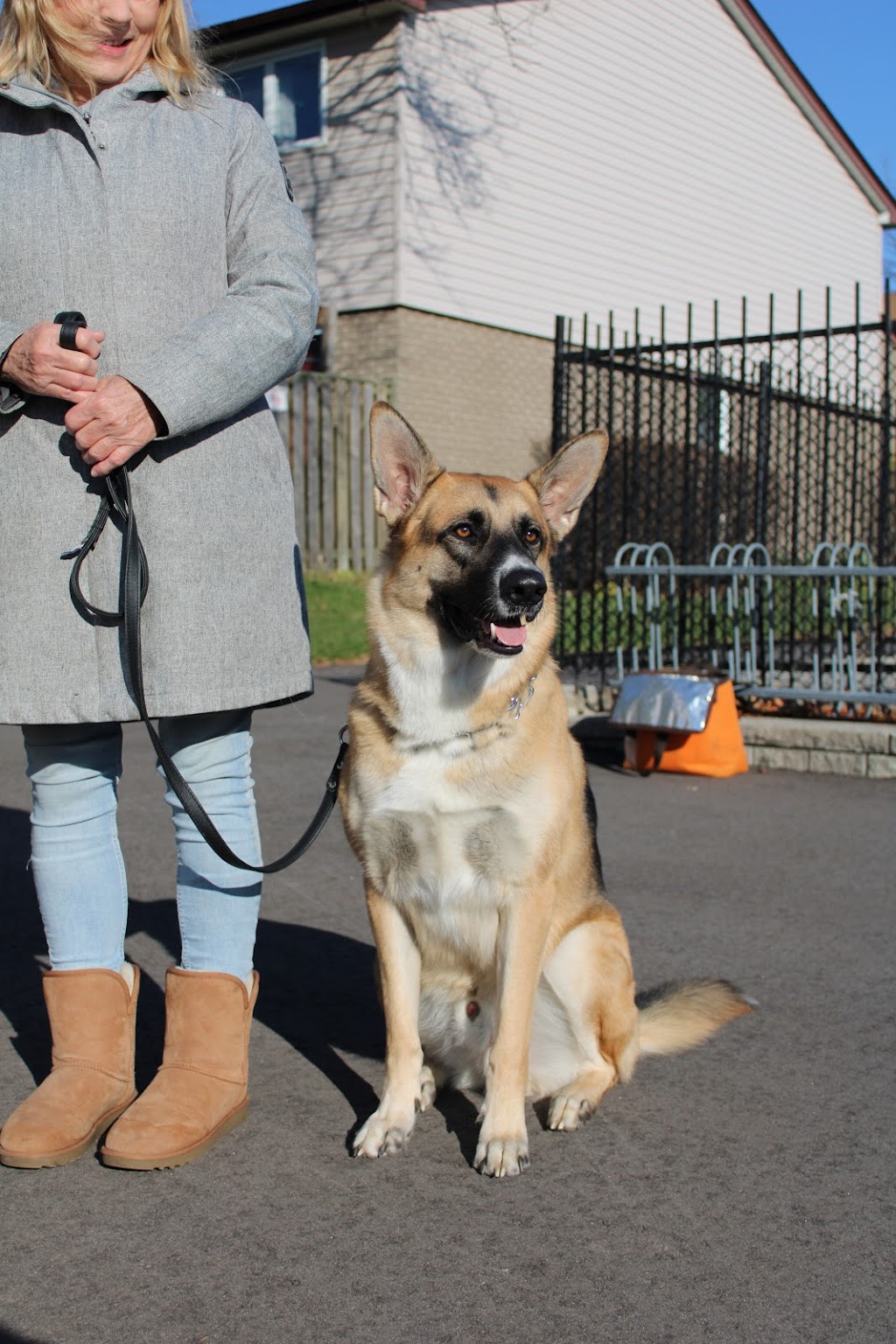 Barbosa k9s | 22 Bunting Dr, Brampton, ON L6Y 2H5, Canada | Phone: (647) 248-2411