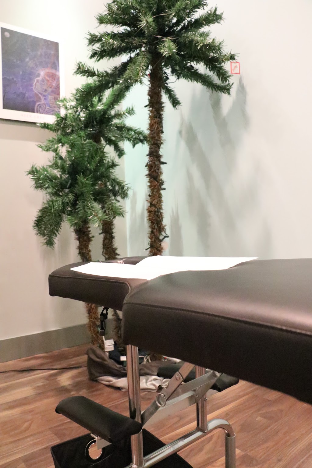 Dr. Daniel V Chenier Chiropractor and Wellness Centre | 2077 Pembina Hwy, Winnipeg, MB R3T 5J9, Canada | Phone: (204) 414-9891