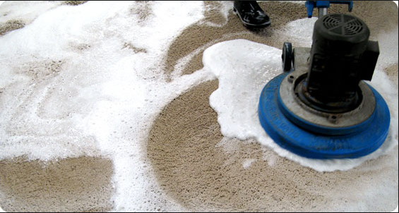 Terrific Carpet Cleaning | 4040 Blackfoot Trail SE #65a, Calgary, AB T2G 4E6, Canada | Phone: (587) 800-3667