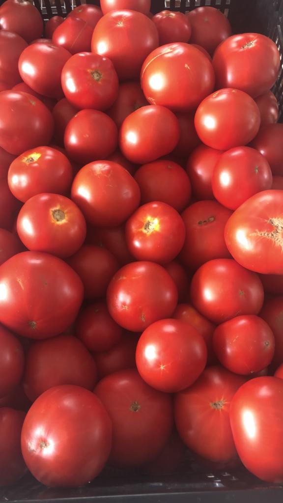 Claylan Farm | 742 Oil Heritage Rd, Dresden, ON N0P 1M0, Canada | Phone: (519) 355-8025