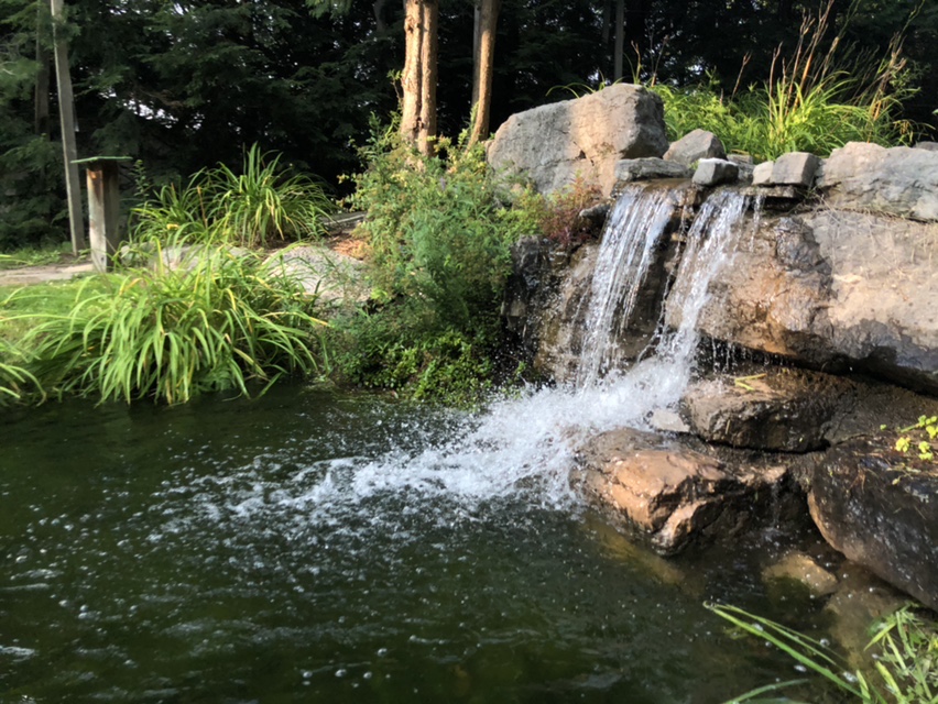 Northern Escapades Mini Golf | 301 Ecclestone Dr, Bracebridge, ON P1L 1X2, Canada | Phone: (705) 646-7025