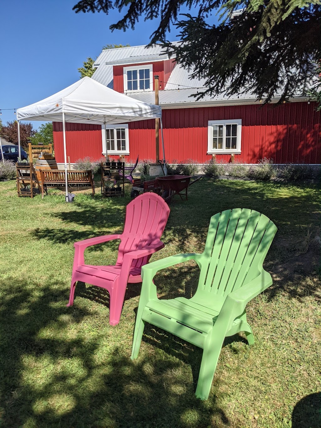 Greendale Lavender Company | 42050 S Sumas Rd, Chilliwack, BC V2R 4W3, Canada | Phone: (604) 615-2343