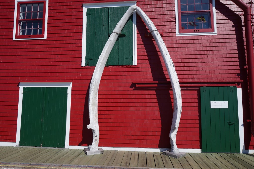 Fisheries Museum of the Atlantic | 68 Bluenose Dr, Lunenburg, NS B0J 2C0, Canada | Phone: (902) 634-4794