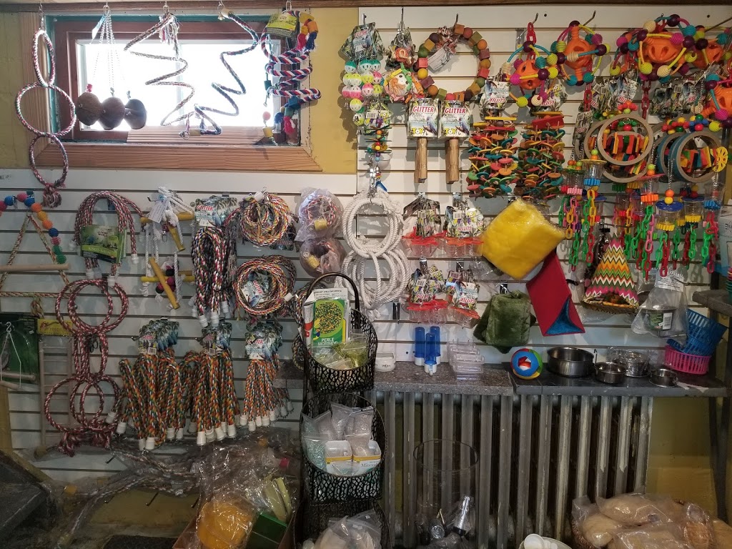Sudbury BIRD House | 166 St Joseph St, Sudbury, ON P3B 2R1, Canada | Phone: (705) 677-8932