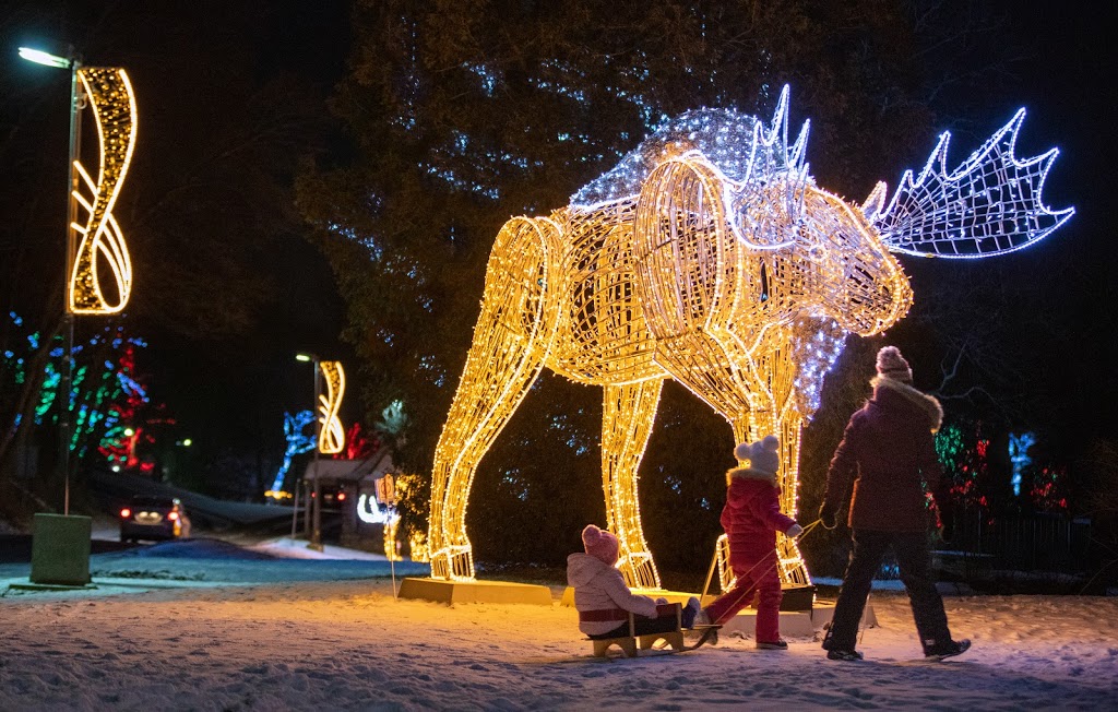 Winter Festival of Lights | 6345 Niagara Pkwy, Niagara Falls, ON L2E 6X8, Canada | Phone: (905) 356-6061
