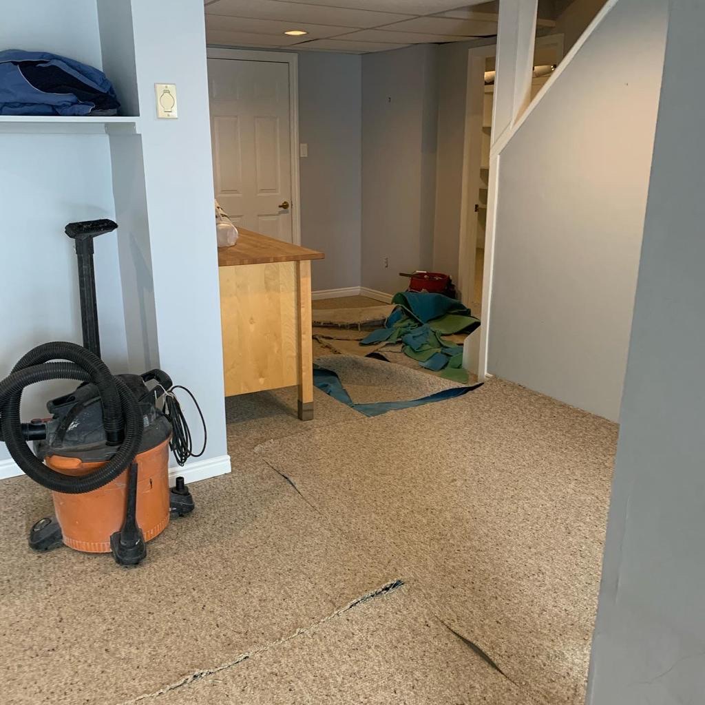 Rakee star painting | 5 Brockley Dr #1612, Scarborough, ON M1P 3J2, Canada | Phone: (437) 220-2629