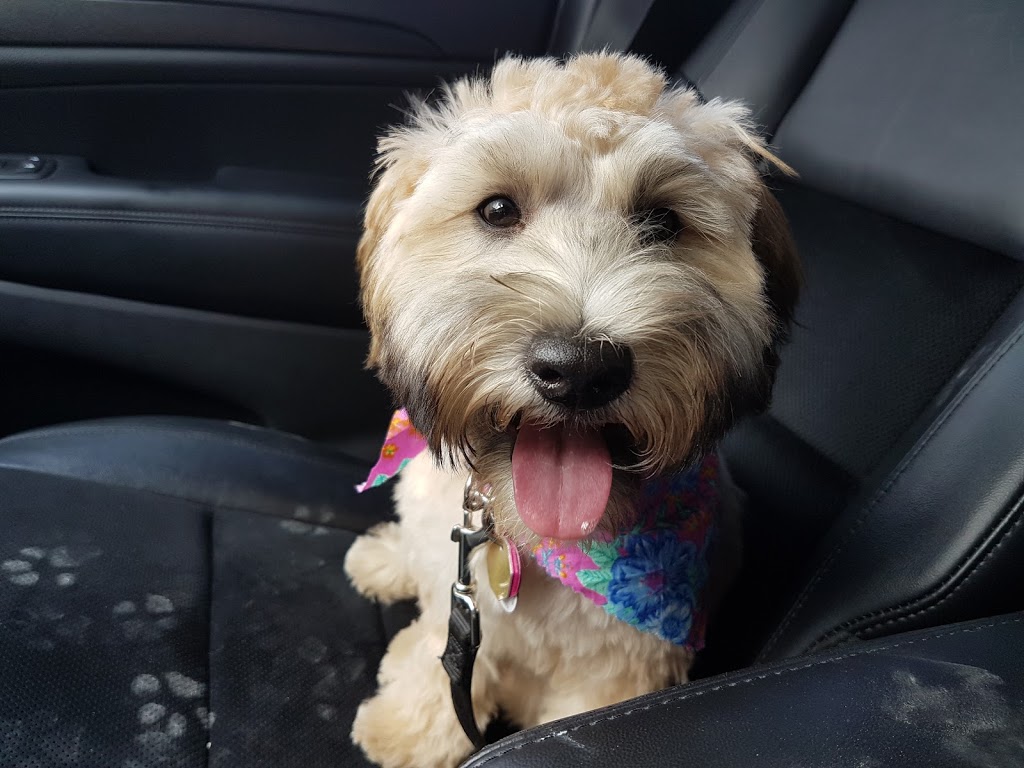Strathroy Animal Clinic | 425 Frances St, Strathroy, ON N7G 2L7, Canada | Phone: (519) 245-1153