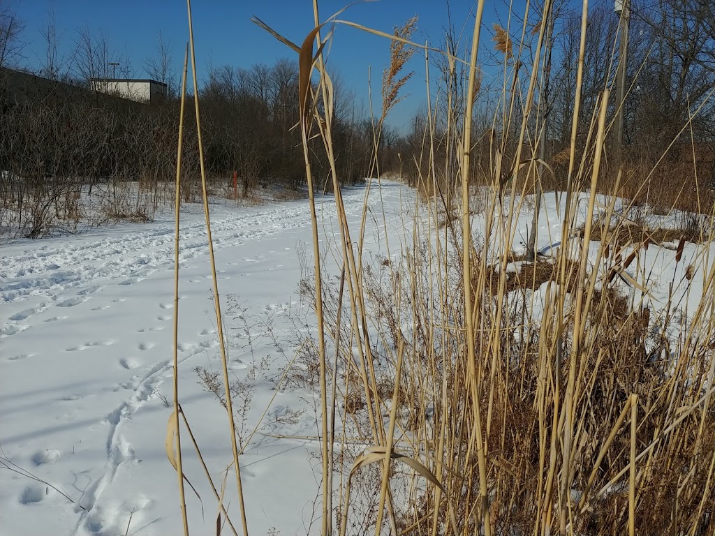 Don Mills Trail | 813 Lawrence Ave E, Toronto, ON M3C, Canada
