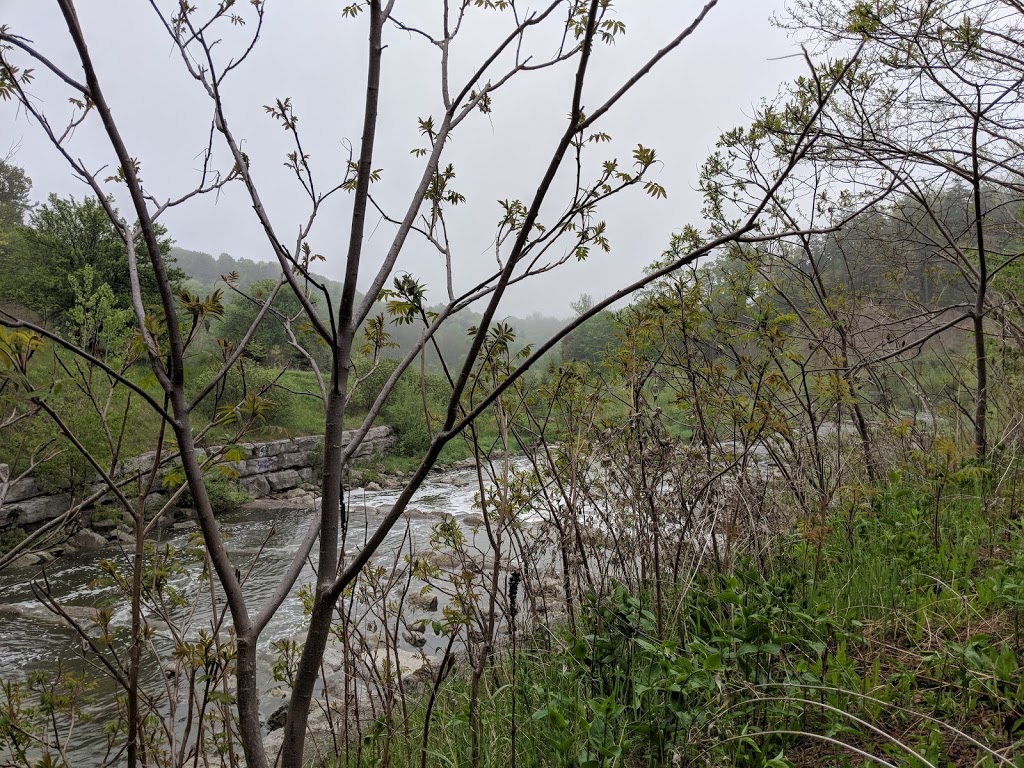 Botany Hill Park | 277 Orton Park Rd, Scarborough, ON M1G 3T4, Canada | Phone: (416) 392-2489
