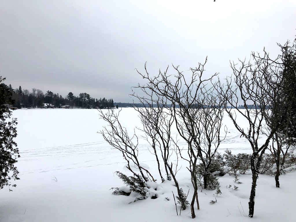 Camp Endobanah | Kawartha Lakes, ON K0M 2L0, Canada | Phone: (905) 331-8927