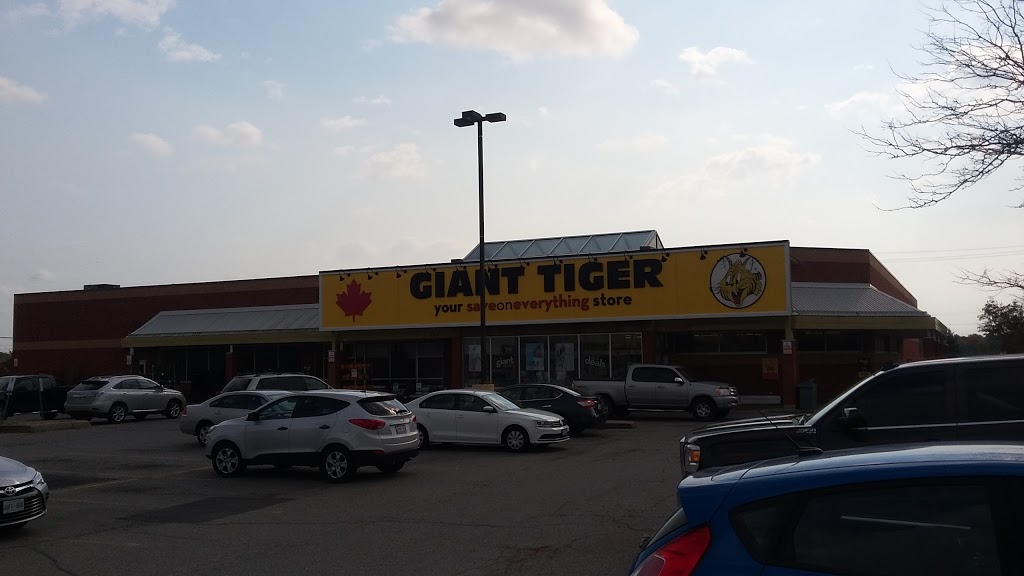 Giant Tiger | 930 Dundas St, Woodstock, ON N4S 8X6, Canada | Phone: (519) 539-8701