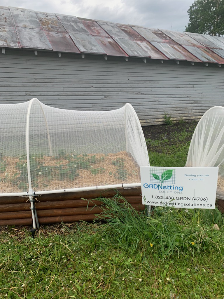 GRDNetting Solutions | 301 Hillcrest Rd SW, Airdrie, AB T4B 4K1, Canada | Phone: (825) 438-4736