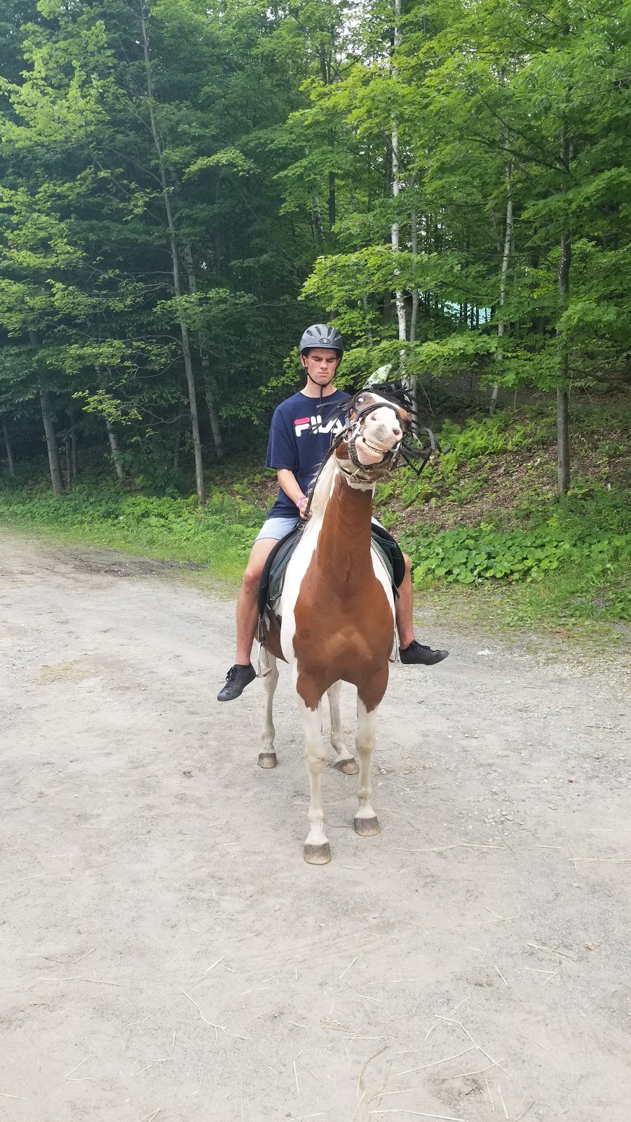 Center Riding Jacques Robidas | 32 Chemin McFarland, Hatley, QC J0B 2C0, Canada | Phone: (819) 563-0166