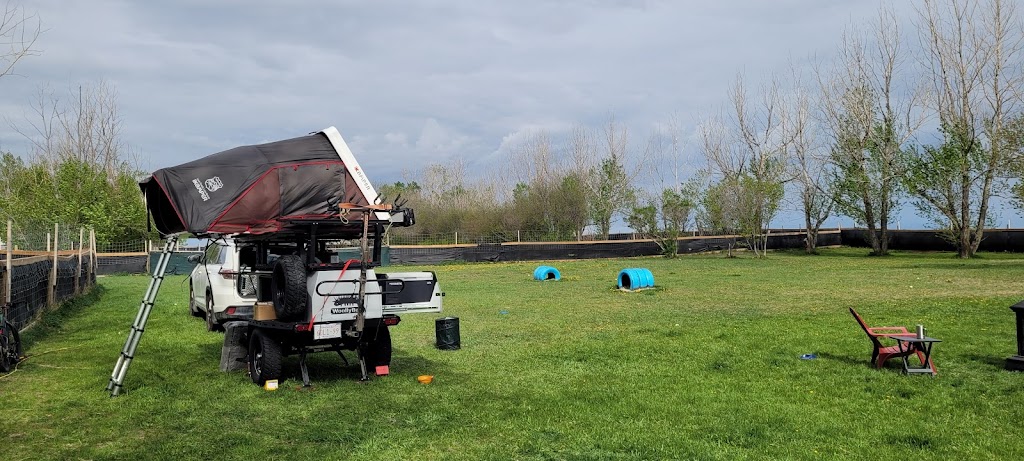 Paw Butler | Range Rd 284, Alberta T1X, Canada, Canada | Phone: (403) 437-8425