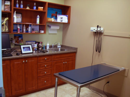 Animal Hospital Of Cambridge | 621 Hespeler Rd, Cambridge, ON N1R 6J3, Canada | Phone: (519) 624-9760