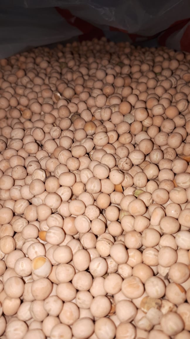 Taj Commodities Inc. | 7338 Golden Meadow Ct, Mississauga, ON L5W 0B8, Canada | Phone: (437) 999-6264