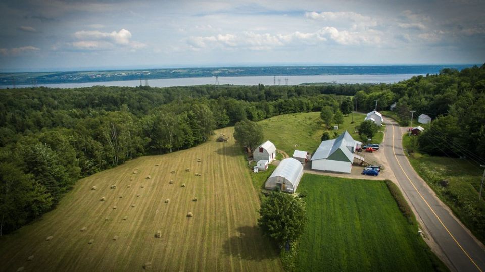 Ferme St-Achillée s.e.n.c. | 266 Rte de Saint-Achillée, Château-Richer, QC G0A 1N0, Canada | Phone: (418) 824-9687