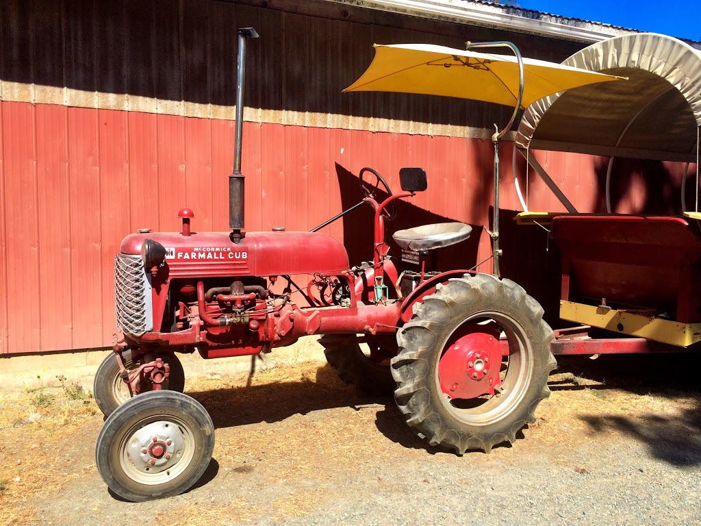 Morningstar Farm | 403 Lowrys Rd, Parksville, BC V9P 2B5, Canada | Phone: (250) 954-3931