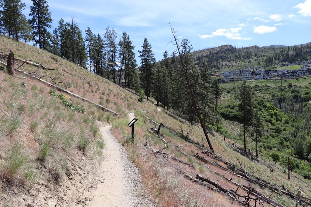 Lebanon Creek Greenway | 5554 Mountainside Dr, Kelowna, BC V1W 4L6, Canada