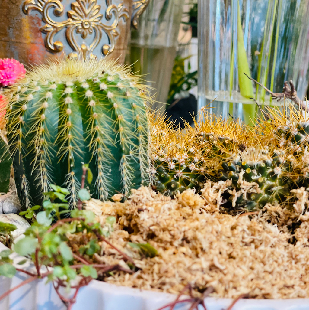 Adele-Rae Florist Ltd. | 4714 Hastings St, Burnaby, BC V5C 2K7, Canada | Phone: (604) 299-0585