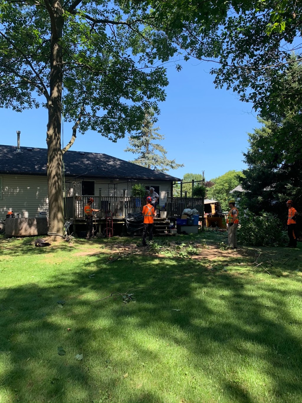 Lakeside Tree Experts | 560 Anne St N, Springwater, ON L9X 0V6, Canada | Phone: (705) 722-4800