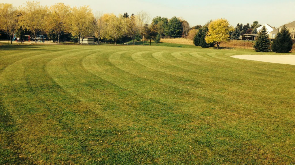 Dundee Nursery & Landscaping | 967672 Oxford Waterloo Rd, New Dundee, ON N0B 2E0, Canada | Phone: (519) 581-8292