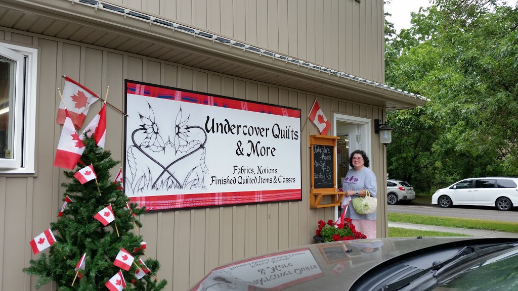 Undercover Quilts And More | 223 St Andrew St E, Fergus, ON N1M 1R2, Canada | Phone: (519) 843-3930