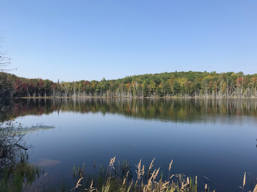 Beauréal Réserve Naturelle | 2777A Chemin Mcgill, Sainte-Julienne, QC J0K 2T0, Canada | Phone: (514) 992-3886