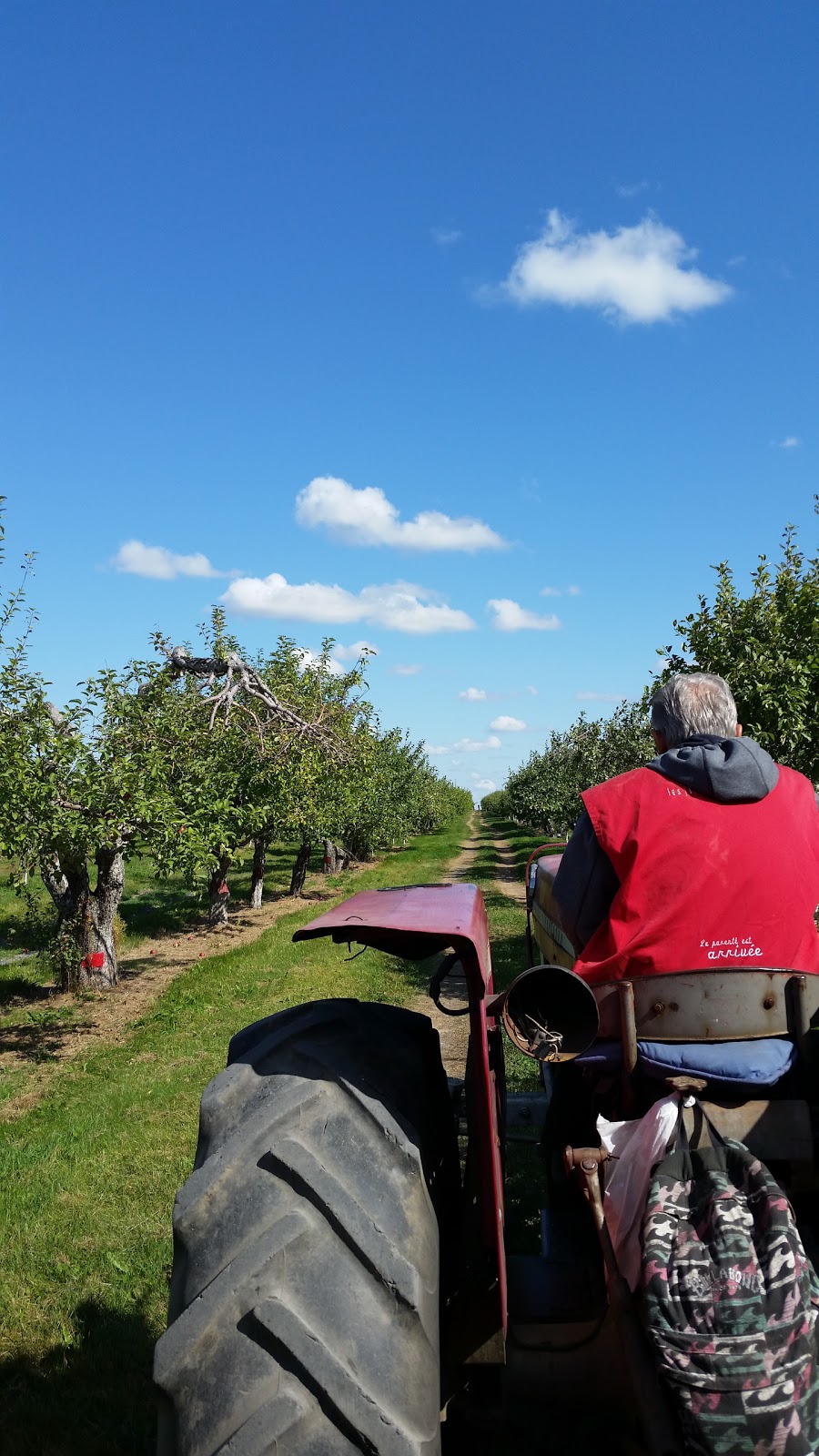 Orchard The Old Barn | 1245 Rang Double, Rougemont, QC J0L 1M0, Canada | Phone: (450) 469-4087