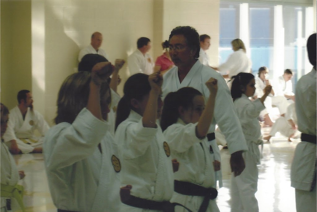The KARATE Dojo | 211 Mill St, Angus, ON L0M 1B2, Canada | Phone: (705) 321-9177