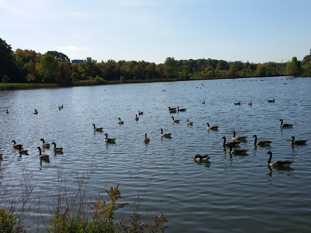 Centenial Park Picnic area 8 | Park, Toronto, ON M9C, Canada