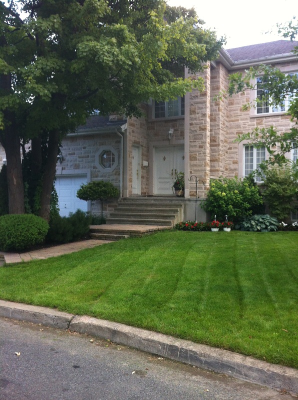 Capitaine Verdure | 3930 Rue de Mayfair, Saint-Hubert, QC J3Y 5P8, Canada | Phone: (514) 666-2274