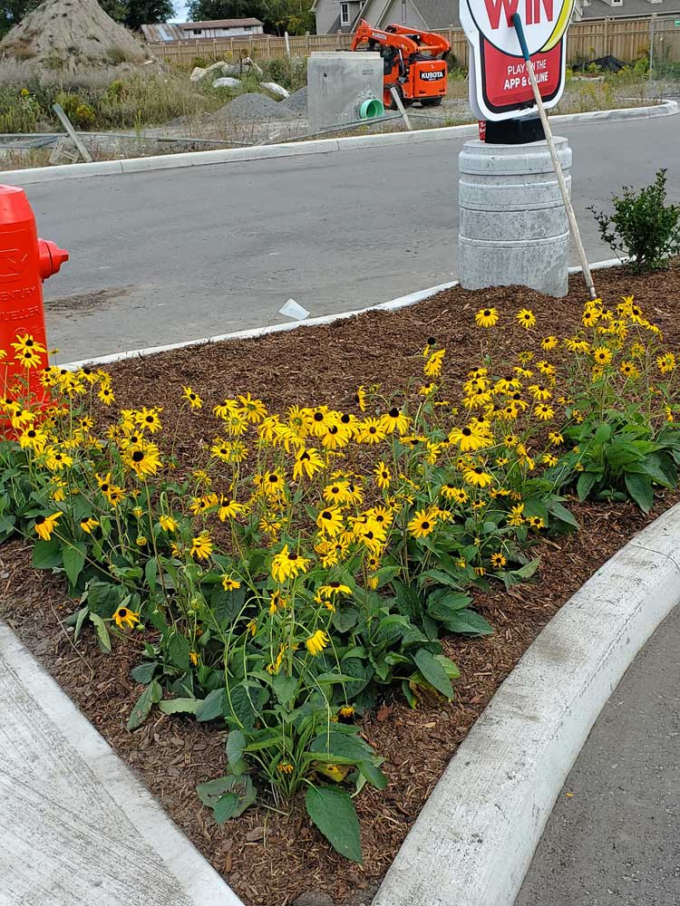 ASIM Landscape & Snow Removal | 15 Bottrell St, Bowmanville, ON L1C 4Z8, Canada | Phone: (905) 419-1034
