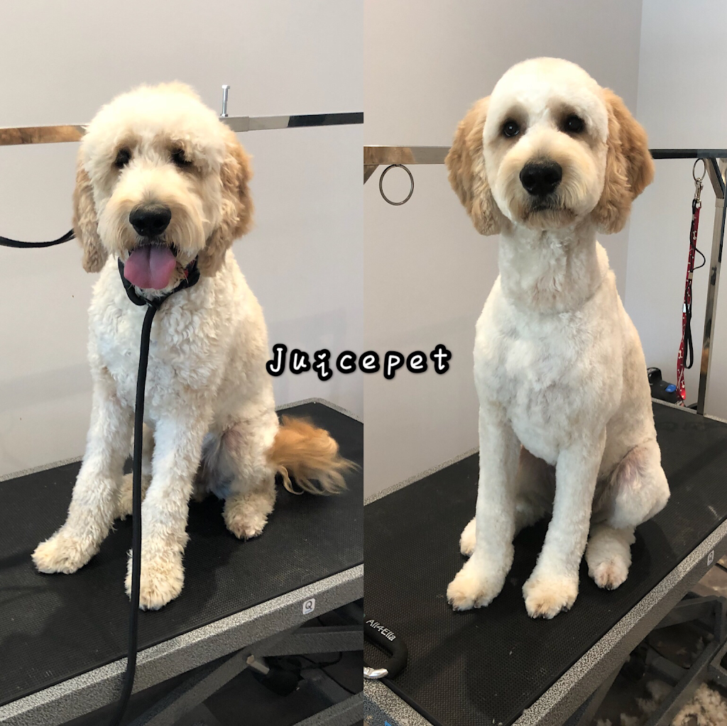 Juicepet | 330 McClellan Way, Aurora, ON L4G 2X8, Canada | Phone: (647) 609-7028