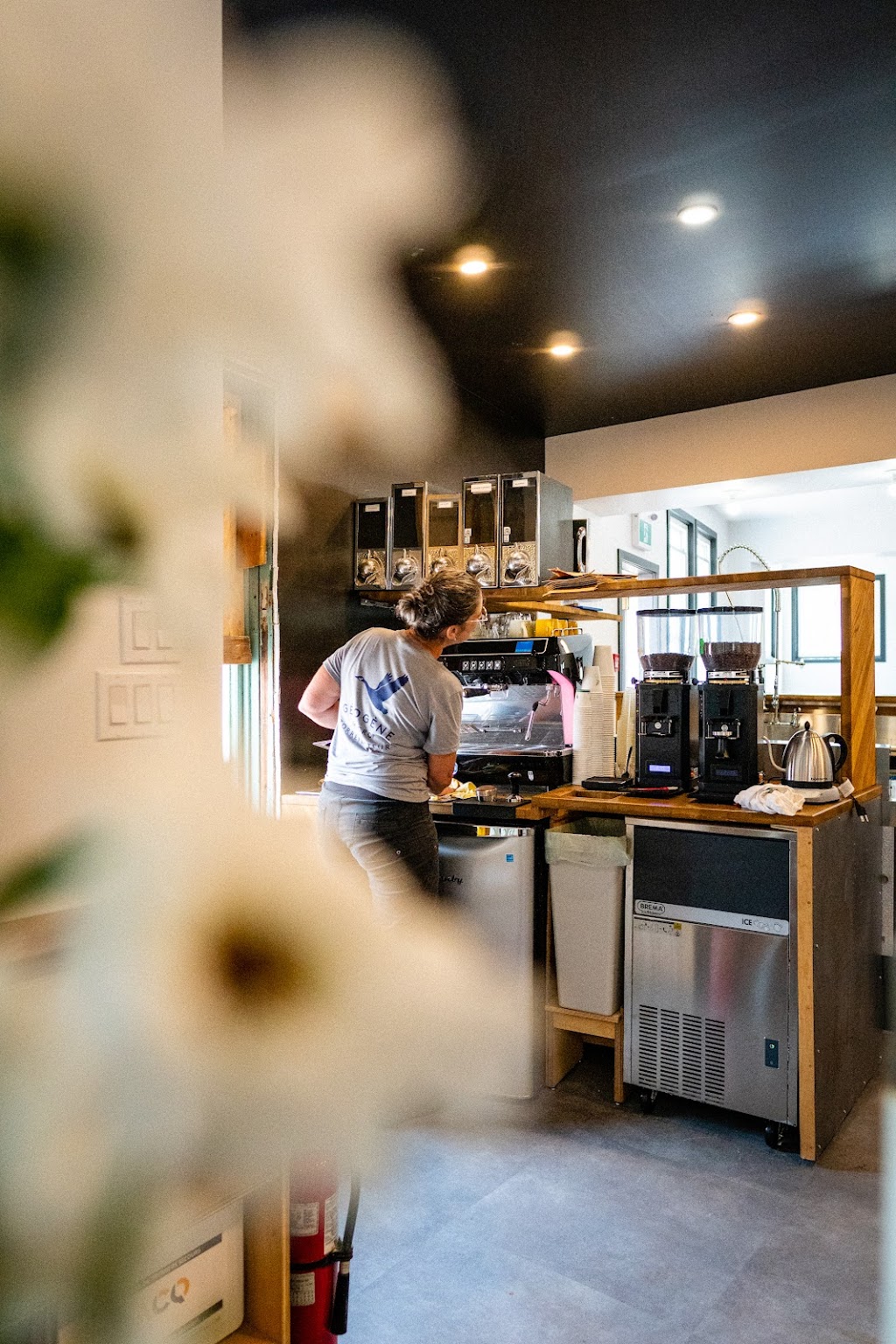 Géogène Café - Magog | 290 Rue Principale O, Magog, QC J1X 2A9, Canada | Phone: (819) 843-2212