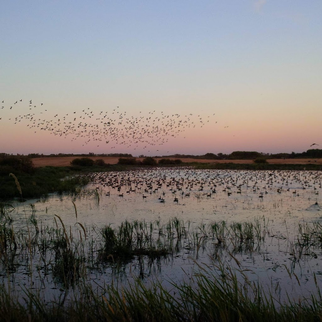 Larson Lake Outfitters | Second Lodge, Spiritwood, SK S0J 2M0, Canada | Phone: (306) 753-9597