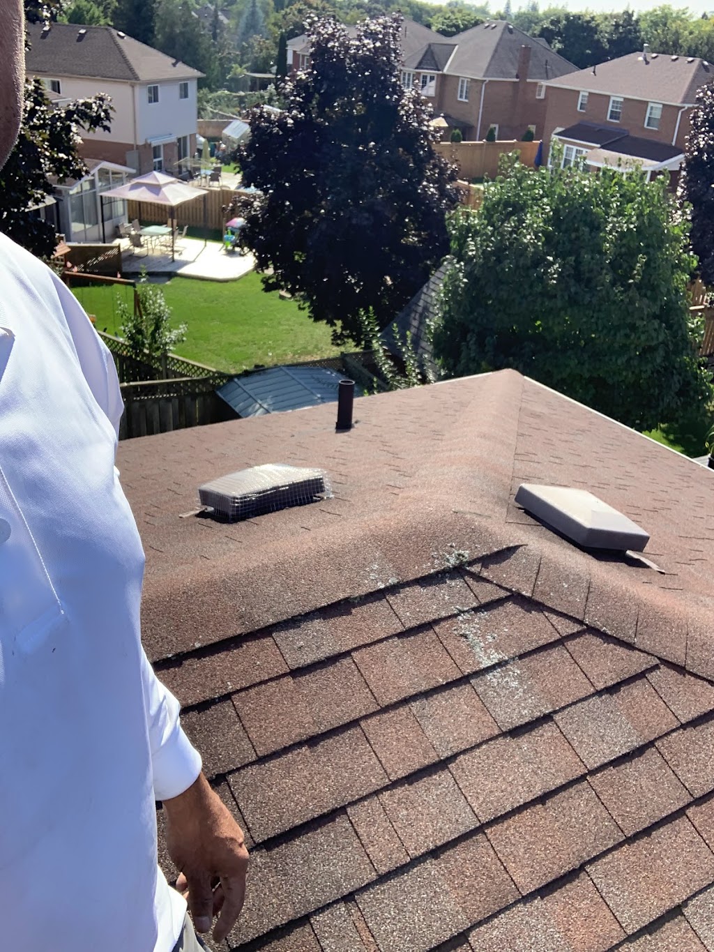 Zolo Pest Control Inc | 70 Cotton St, Bowmanville, ON L1C 5H2, Canada | Phone: (905) 244-1214
