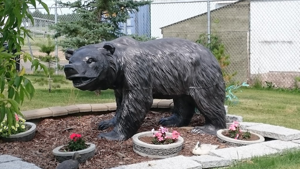 Bear Paw Trading Post | Wetaskiwin County No. 10, AB T0C 1N0, Canada | Phone: (780) 352-6686