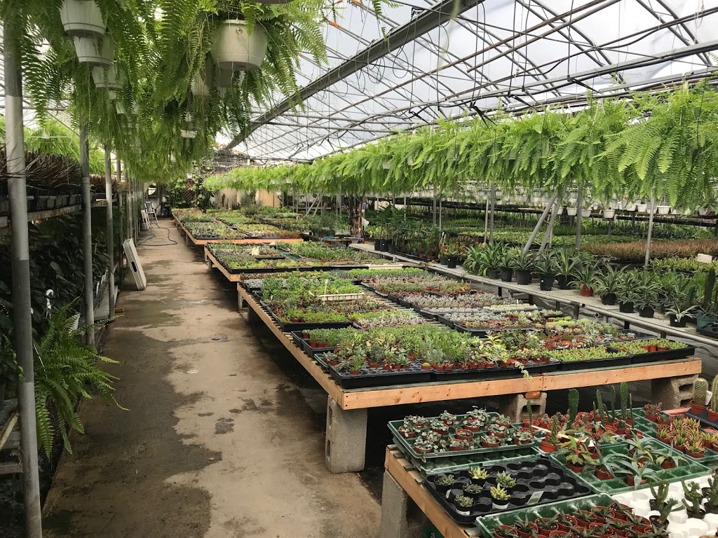 Serres Beauregard Inc (Les) | 135 Rang Charlotte, Saint-Liboire, QC J0H 1R0, Canada | Phone: (450) 793-2765