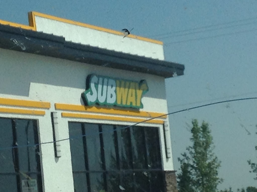 Subway | 1505 Aaron Dr #17, Pilot Butte, SK S0G 3Z0, Canada | Phone: (306) 585-3510