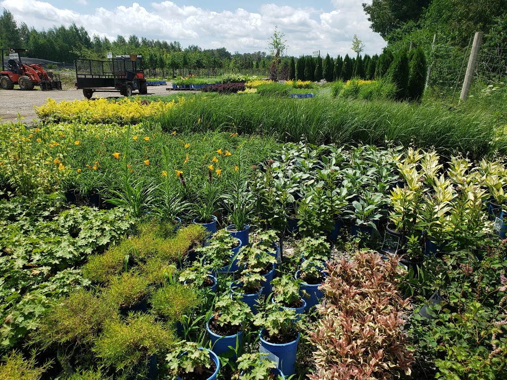 Greenlife Wholesale Nursery | 1770 Manotick Station Rd, Greely, ON K4P 1K4, Canada | Phone: (613) 692-3047