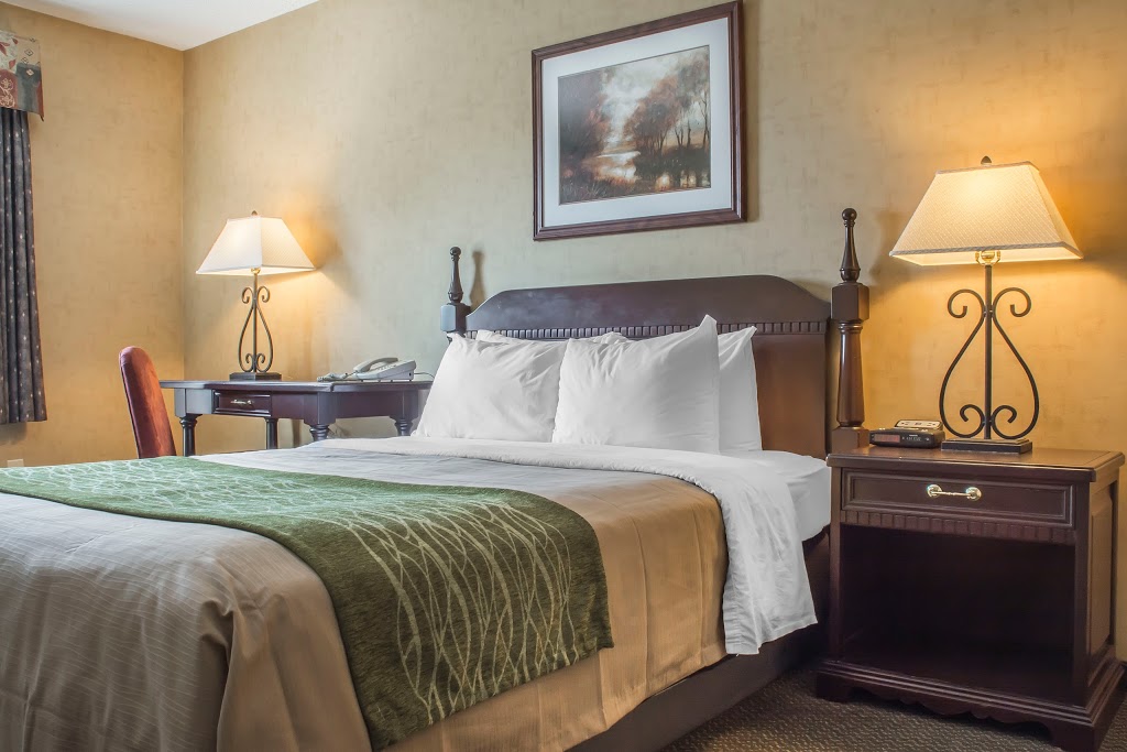 Comfort Inn | 815 Mara St, Point Edward, ON N7V 0A2, Canada | Phone: (519) 383-6767