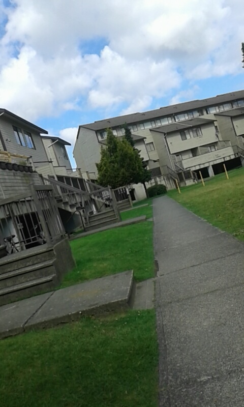 Cherry Tree Place | 8111 Colonial Dr, Richmond, BC V7C 4W9, Canada | Phone: (604) 275-3022
