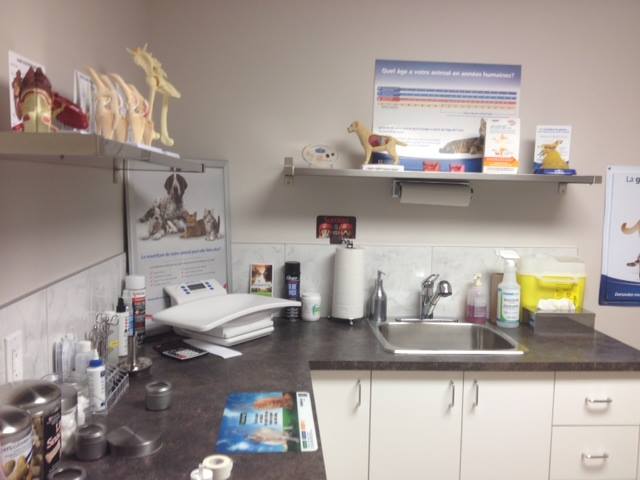 Clinique Vétérinaire AnimoSoins | 191 Rue Victoria, Sorel-Tracy, QC J3P 1Z4, Canada | Phone: (450) 561-3146